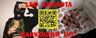 spice Обнинск