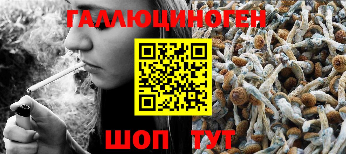 Галлюциногенные грибы прущие грибы  Вход с VPN  Галлюциногенные грибы Cubensis  Самара 