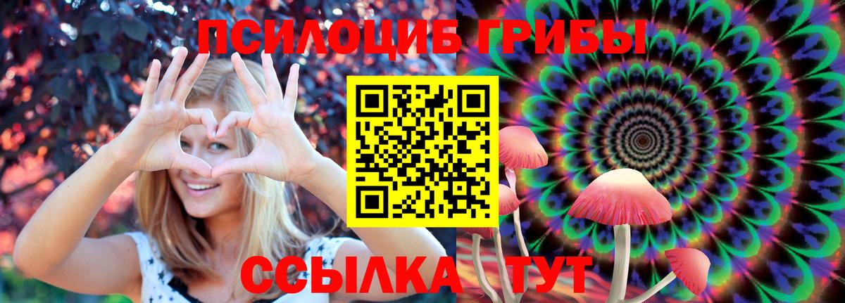 Галлюциногенные грибы Psilocybe Самара
